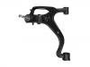 Control Arm:RBJ 500456