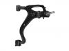 Brazo de suspensión Control Arm:RBJ 500446