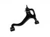 Brazo de suspensión Control Arm:RBJ 500193