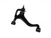 Bras de liaison Control Arm:RBJ 500183